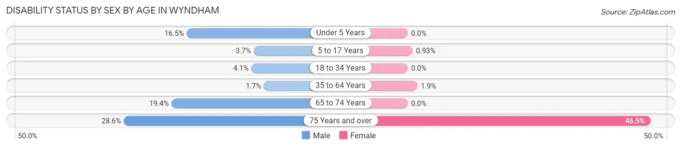 Disability Status by Sex by Age in Wyndham