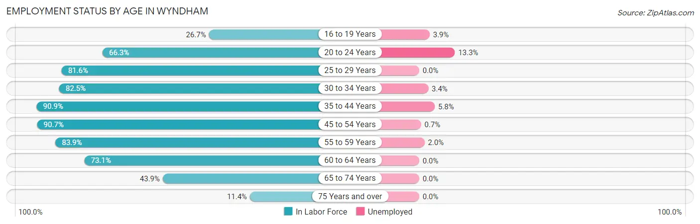 Employment Status by Age in Wyndham