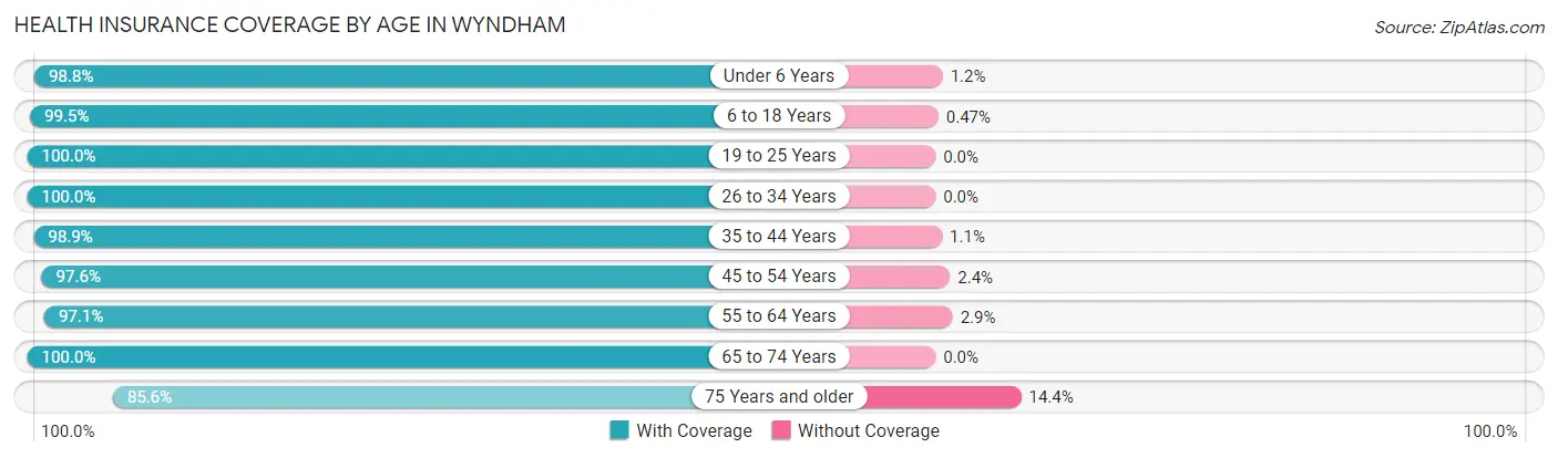 Health Insurance Coverage by Age in Wyndham