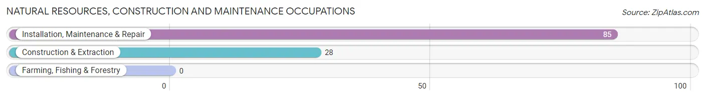 Natural Resources, Construction and Maintenance Occupations in Arlington