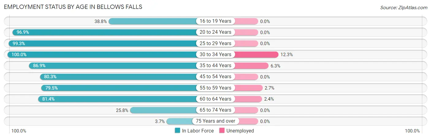 Employment Status by Age in Bellows Falls