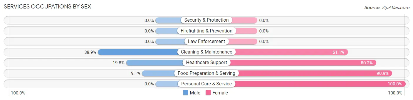Services Occupations by Sex in Bellows Falls