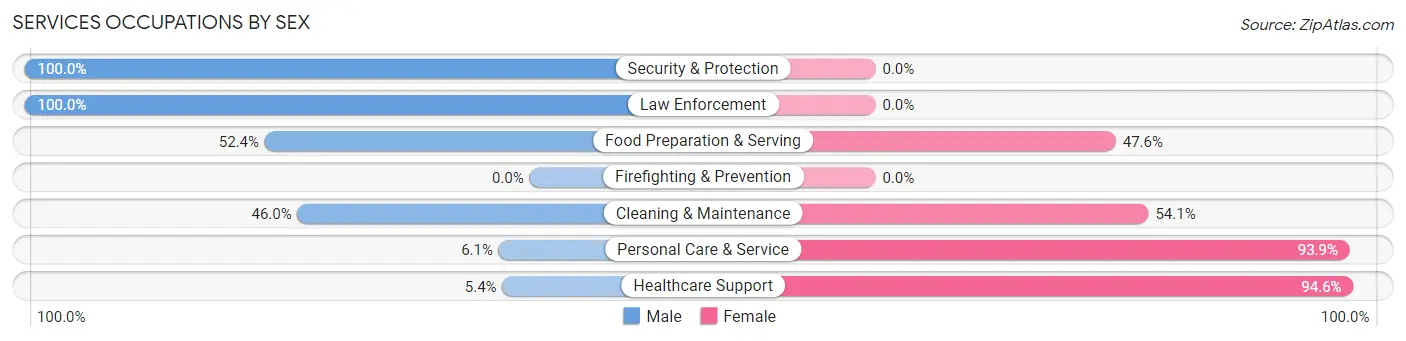Services Occupations by Sex in Bennington