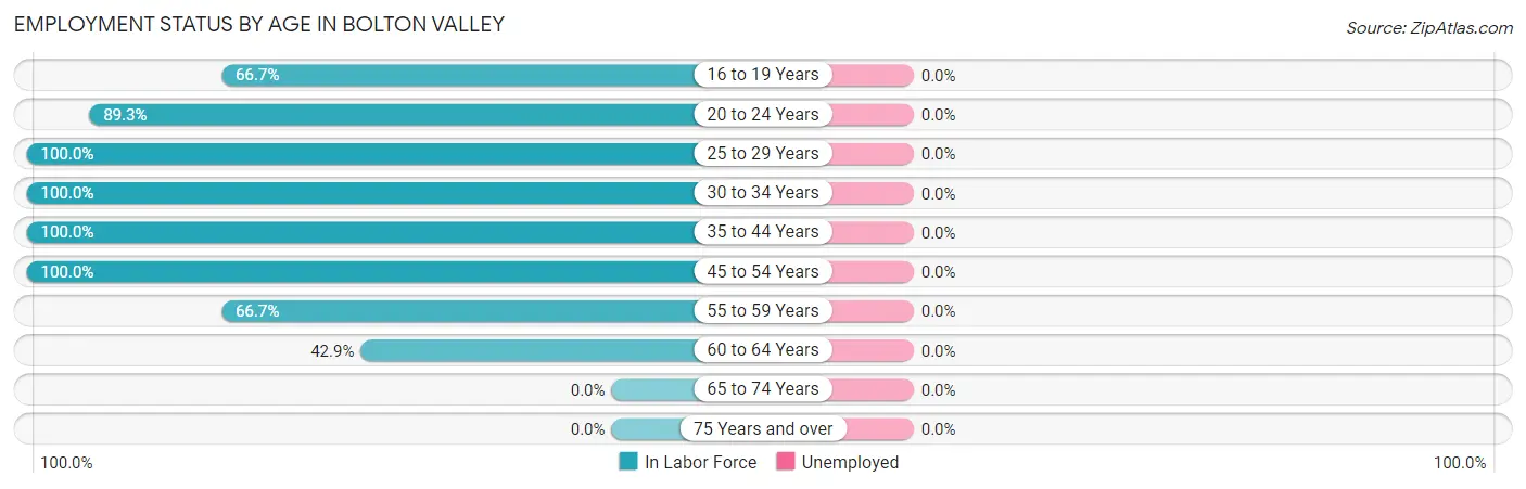 Employment Status by Age in Bolton Valley