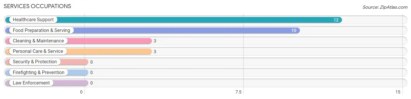 Services Occupations in Bolton Valley