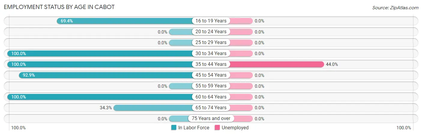 Employment Status by Age in Cabot
