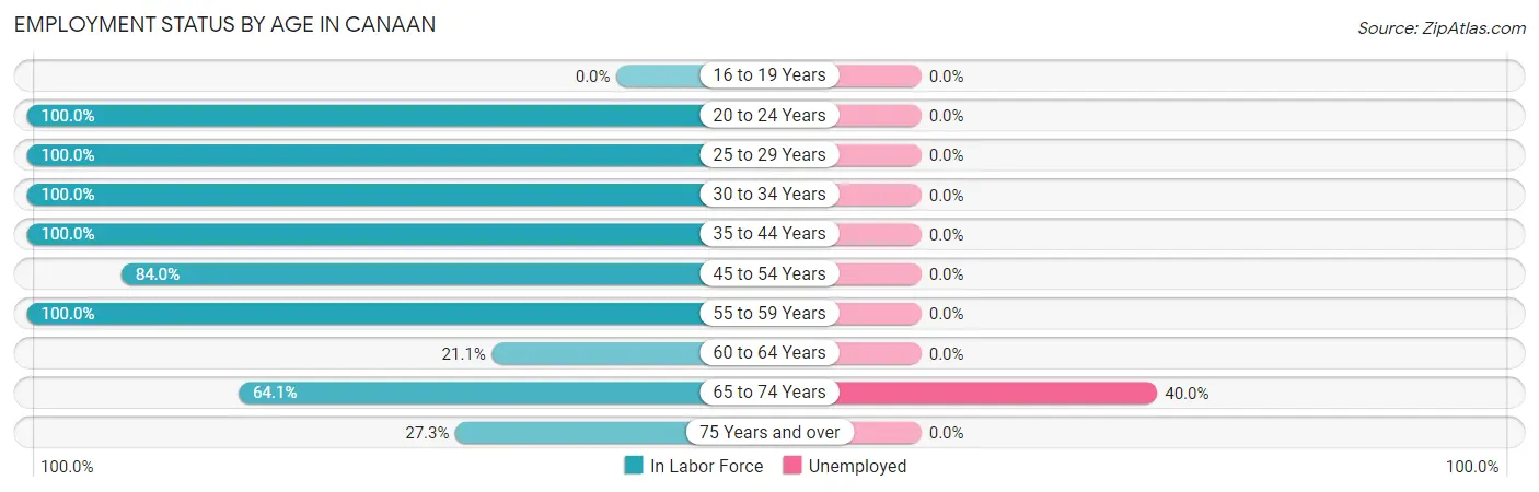 Employment Status by Age in Canaan