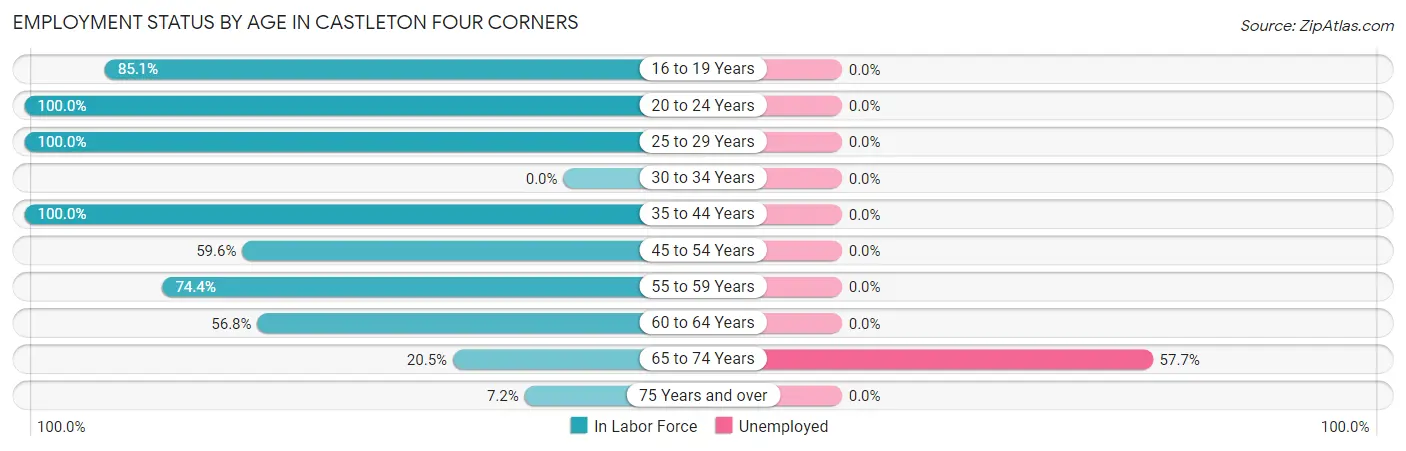 Employment Status by Age in Castleton Four Corners