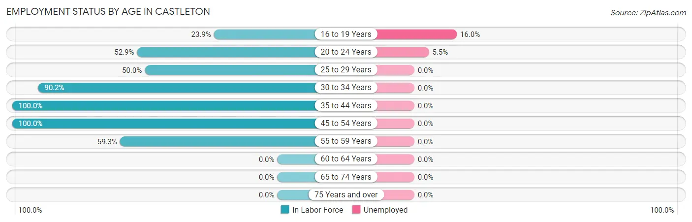 Employment Status by Age in Castleton