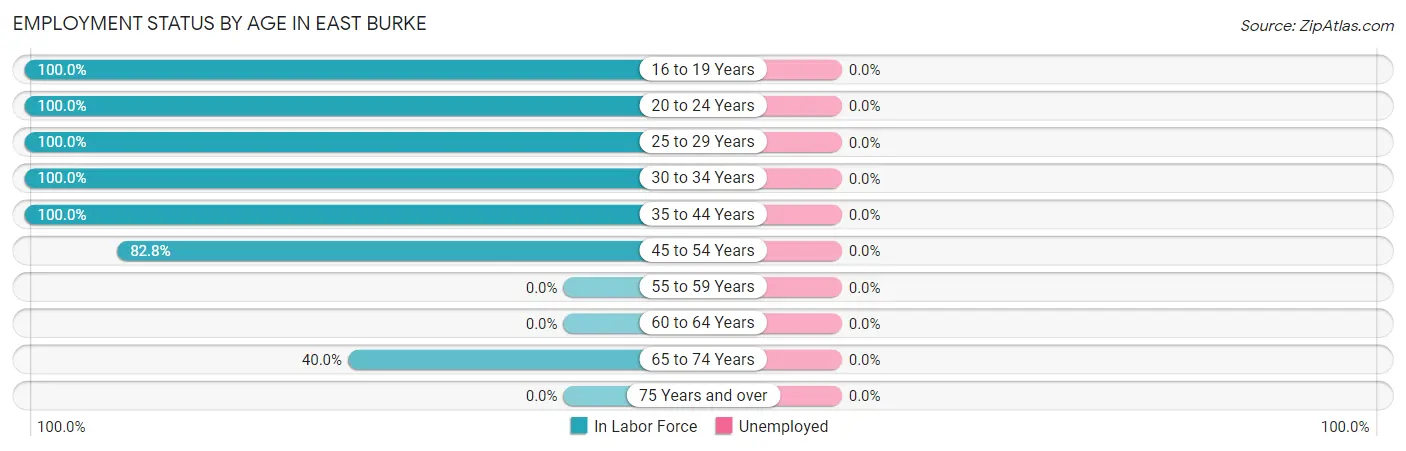 Employment Status by Age in East Burke