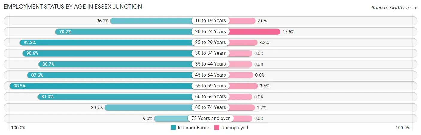 Employment Status by Age in Essex Junction