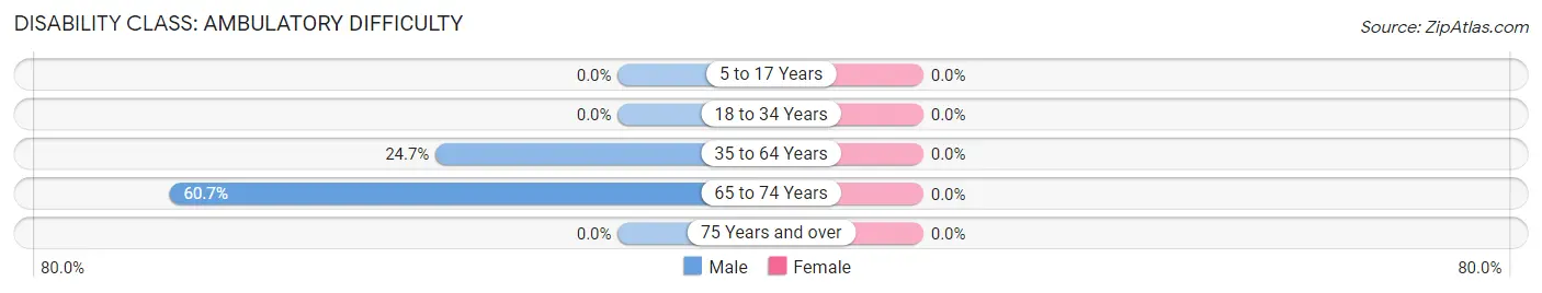 Disability in Fairfax: <span>Ambulatory Difficulty</span>