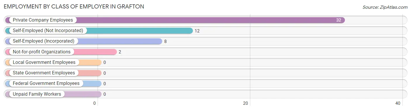 Employment by Class of Employer in Grafton