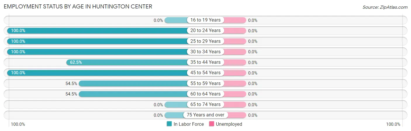 Employment Status by Age in Huntington Center