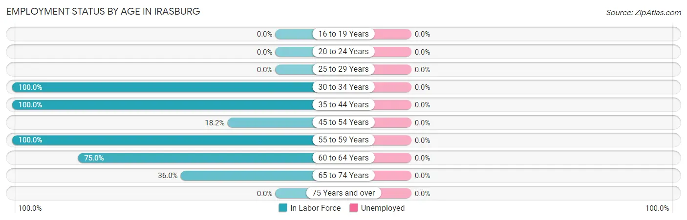 Employment Status by Age in Irasburg