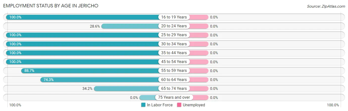 Employment Status by Age in Jericho