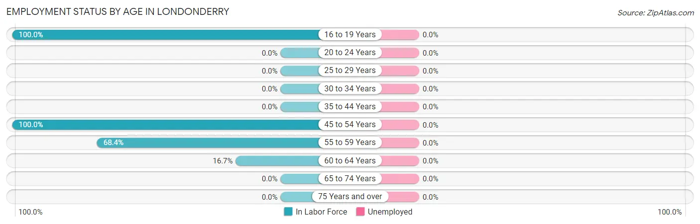 Employment Status by Age in Londonderry