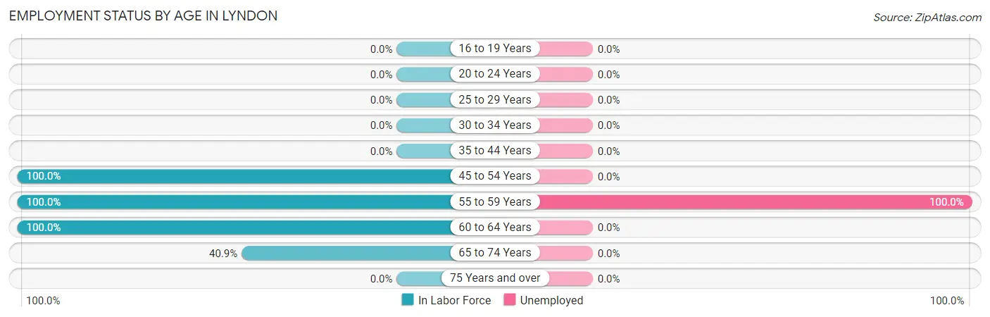 Employment Status by Age in Lyndon