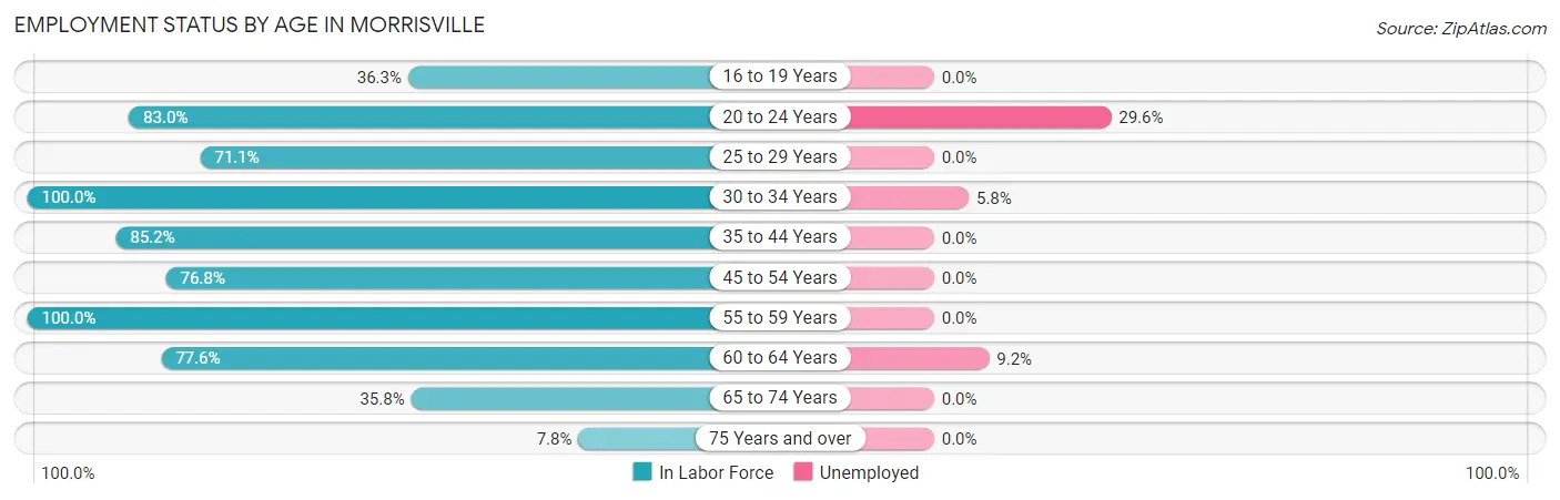 Employment Status by Age in Morrisville