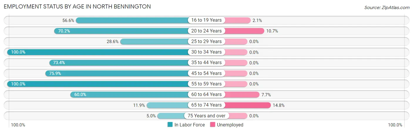 Employment Status by Age in North Bennington