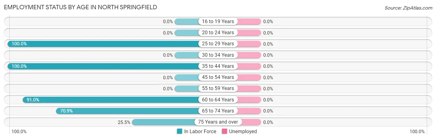Employment Status by Age in North Springfield