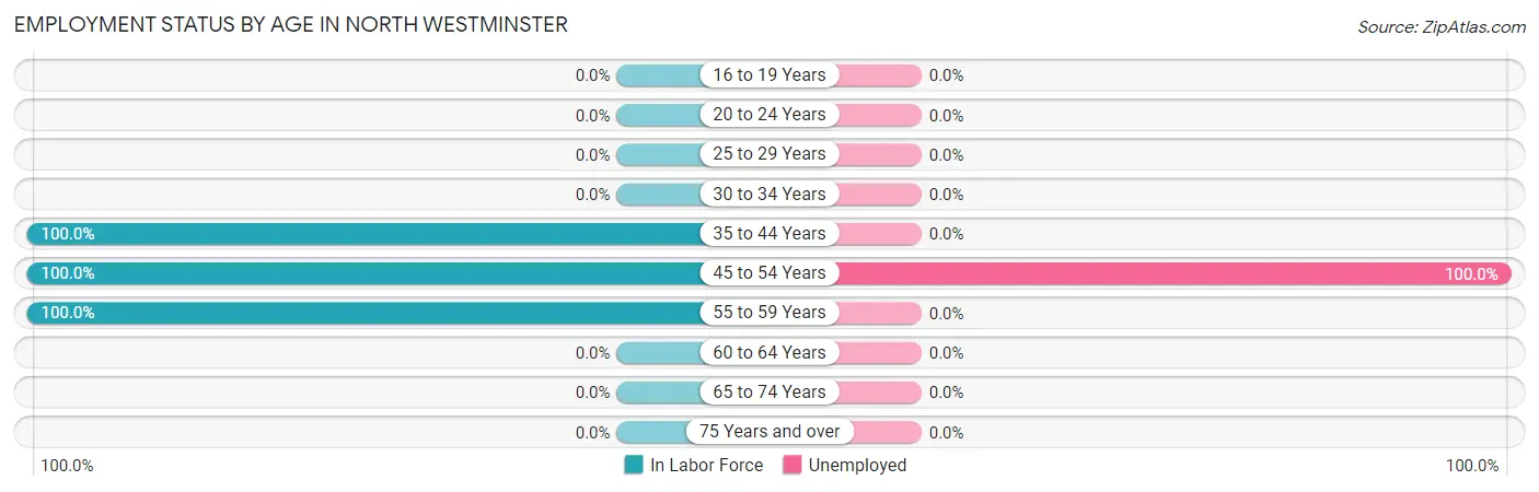Employment Status by Age in North Westminster