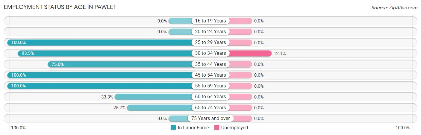 Employment Status by Age in Pawlet