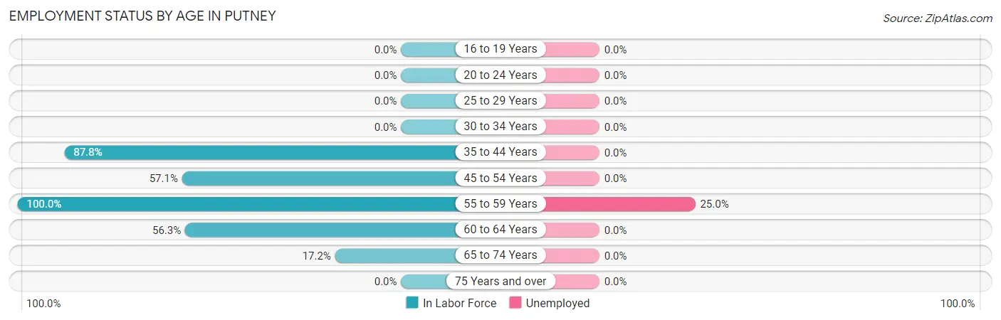 Employment Status by Age in Putney