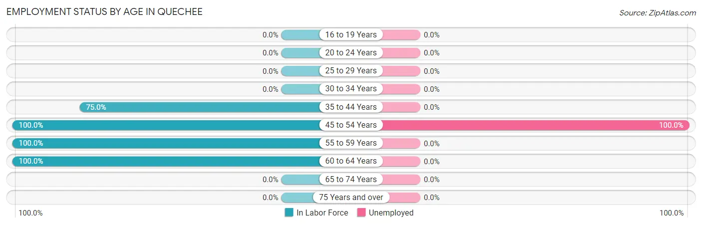 Employment Status by Age in Quechee