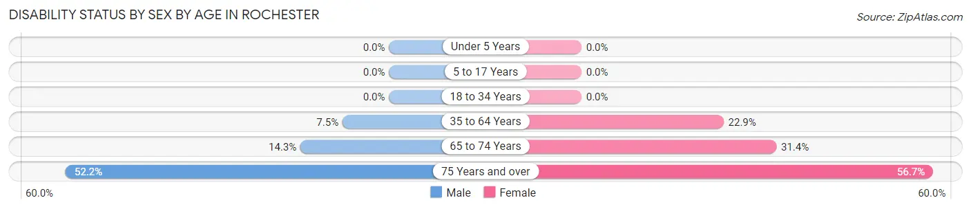 Disability Status by Sex by Age in Rochester