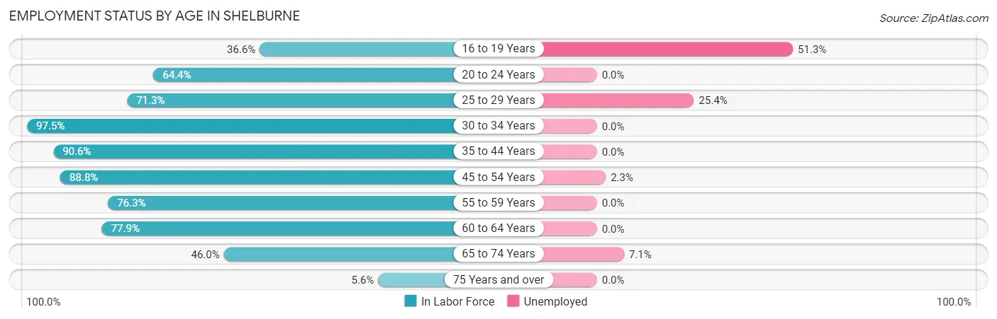 Employment Status by Age in Shelburne