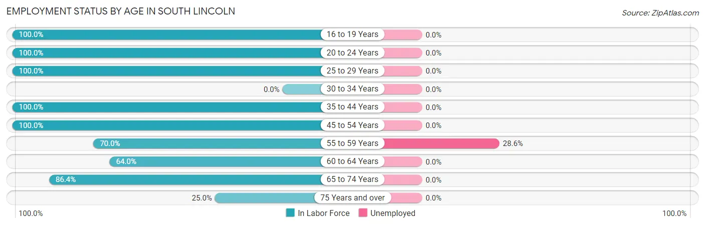 Employment Status by Age in South Lincoln
