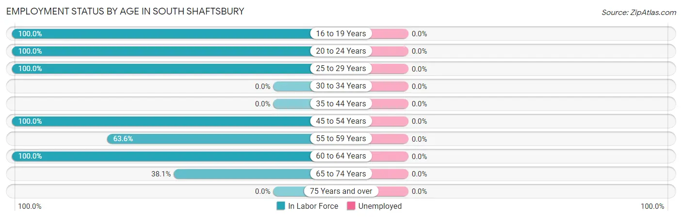 Employment Status by Age in South Shaftsbury