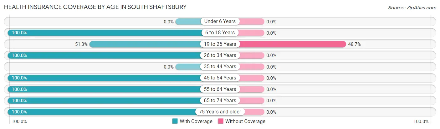 Health Insurance Coverage by Age in South Shaftsbury