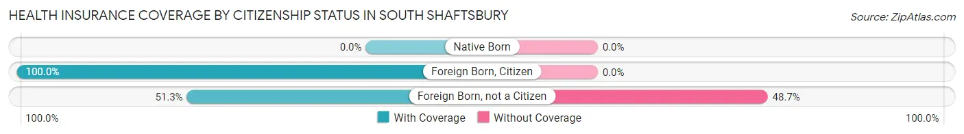 Health Insurance Coverage by Citizenship Status in South Shaftsbury