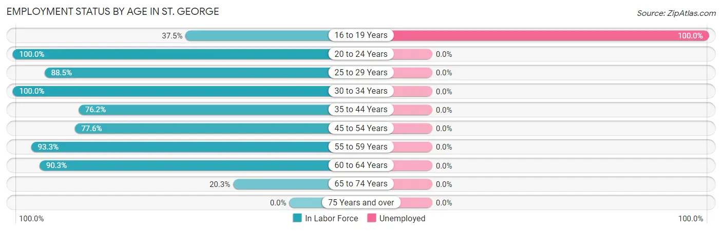 Employment Status by Age in St. George
