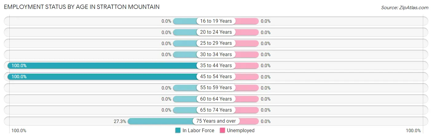 Employment Status by Age in Stratton Mountain