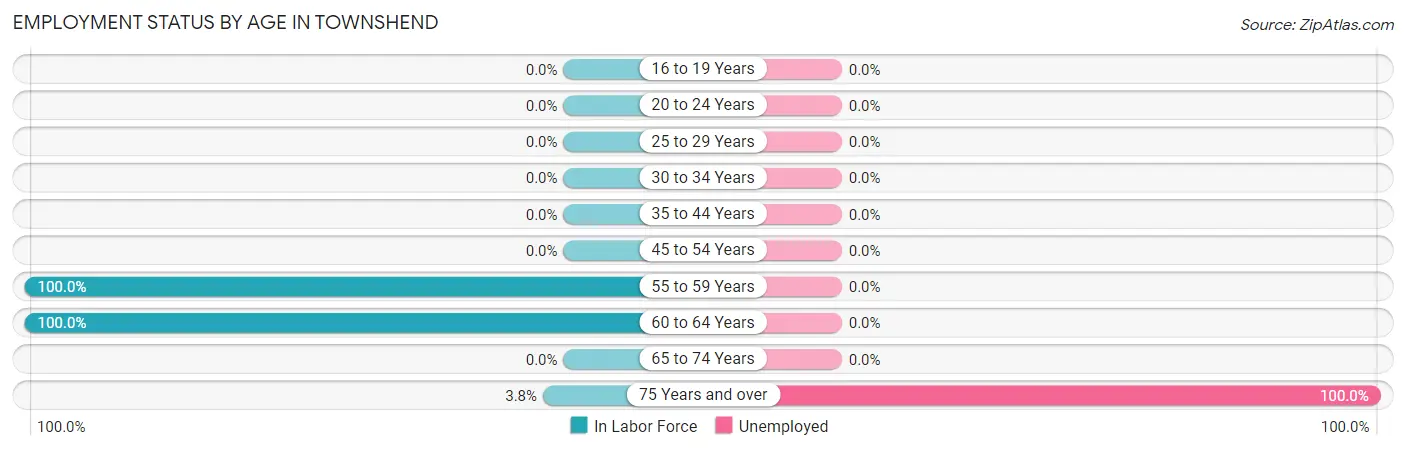 Employment Status by Age in Townshend