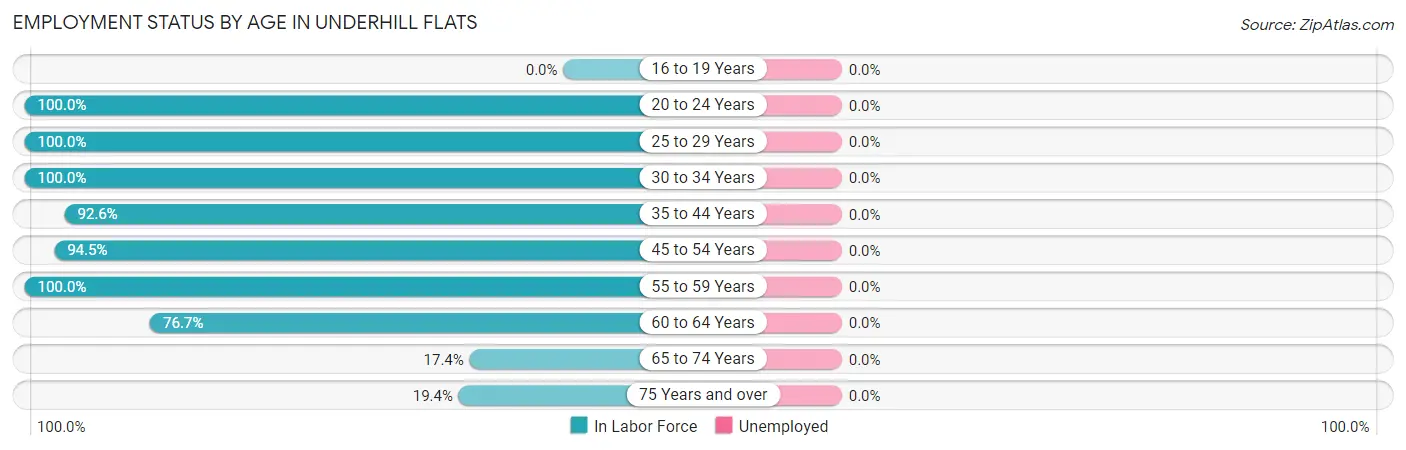 Employment Status by Age in Underhill Flats