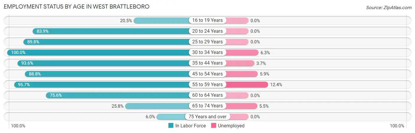 Employment Status by Age in West Brattleboro