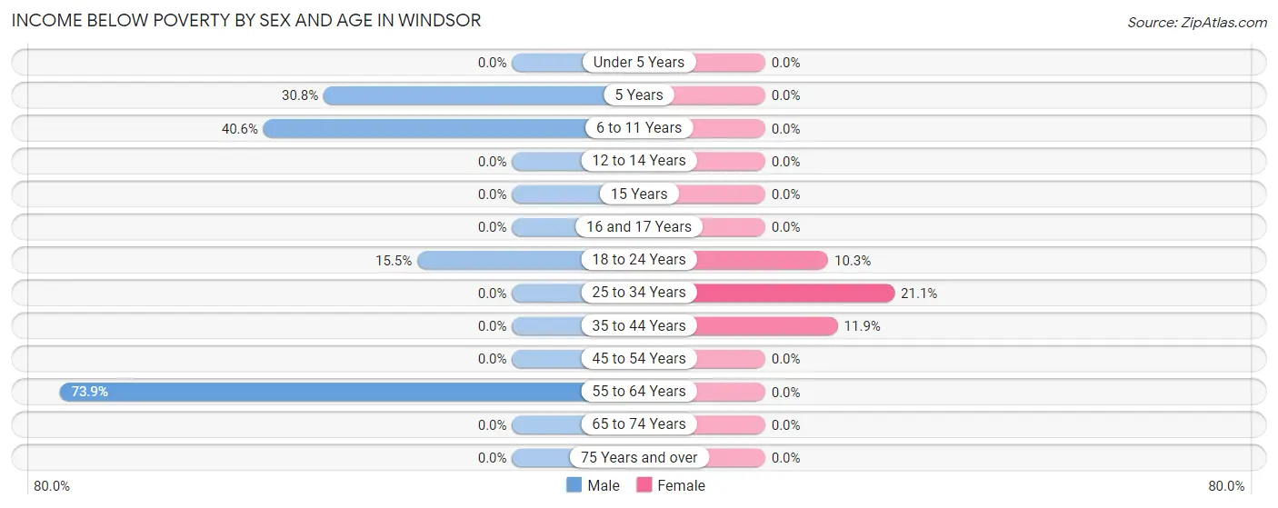 Income Below Poverty by Sex and Age in Windsor