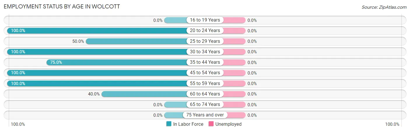Employment Status by Age in Wolcott