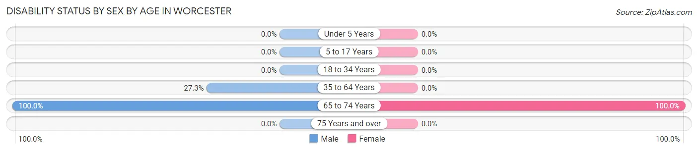 Disability Status by Sex by Age in Worcester