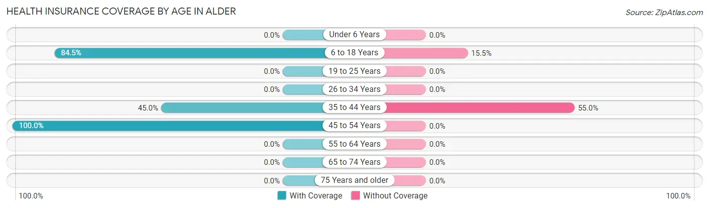 Health Insurance Coverage by Age in Alder