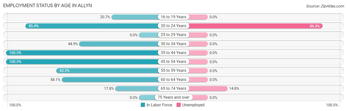 Employment Status by Age in Allyn