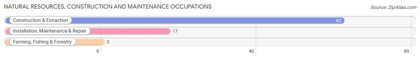 Natural Resources, Construction and Maintenance Occupations in Amboy