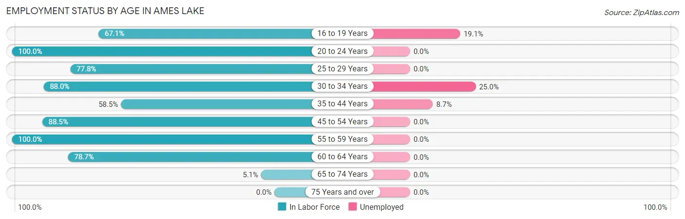 Employment Status by Age in Ames Lake