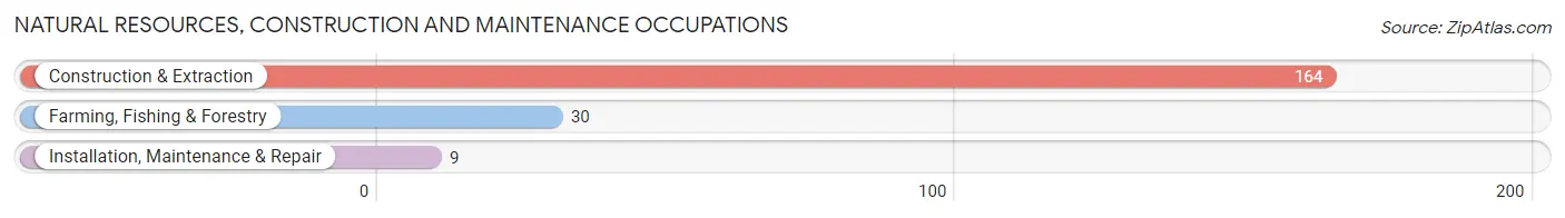 Natural Resources, Construction and Maintenance Occupations in Arlington Heights