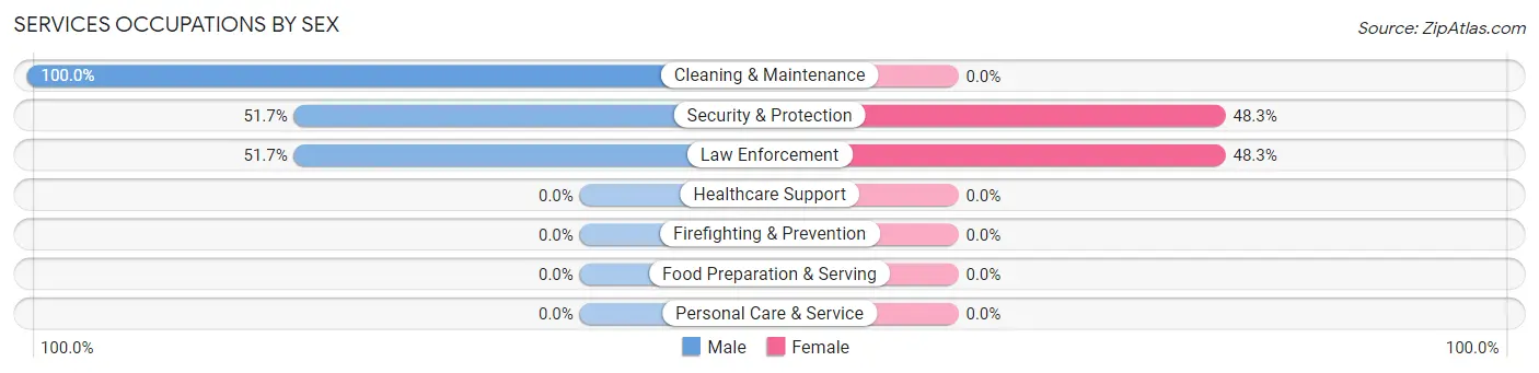 Services Occupations by Sex in Arlington Heights