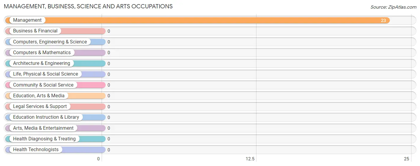 Management, Business, Science and Arts Occupations in Banks Lake South